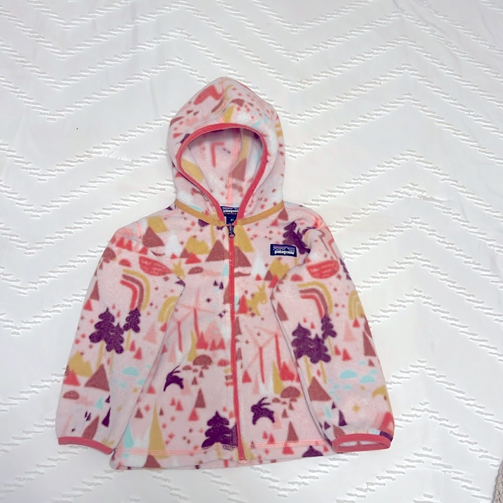 Rare Patagonia Fleece Jacket- size 2t